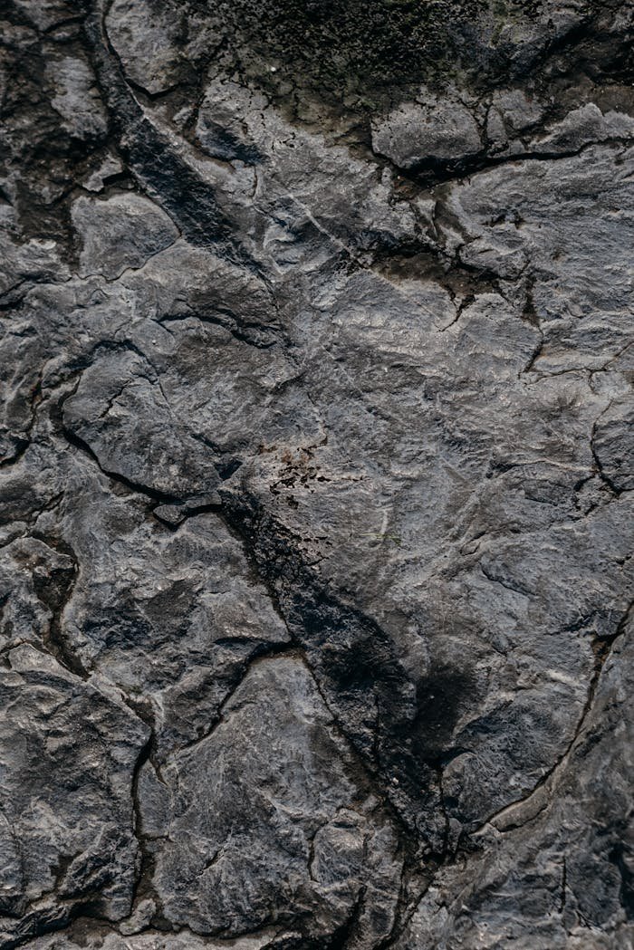 Close-up of a rock surface showcasing intricate textures and patterns.